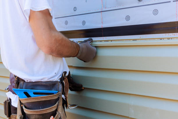 Affordable Siding Replacement solutions in Star Tannery, VA